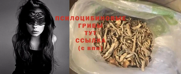ECSTASY Магадан
