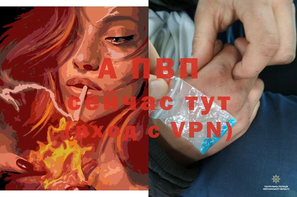 ECSTASY Магадан