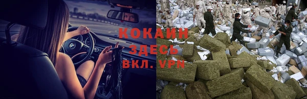 винт Майский