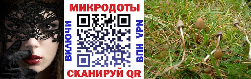 Галлюциногенные грибы GOLDEN TEACHER  Рубцовск 